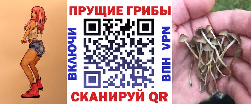 купить цена Анапа Галлюциногенные грибы мицелий
